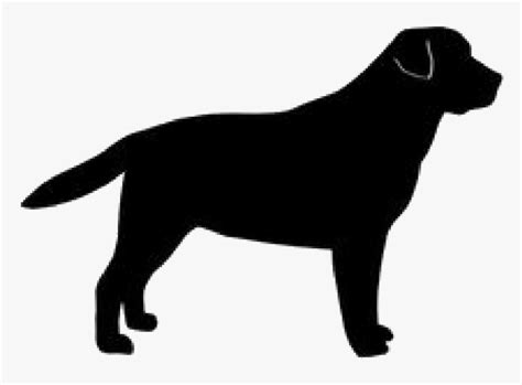 Clip Art Labrador Retriever Silhouette - Black Dog Logo Png ...