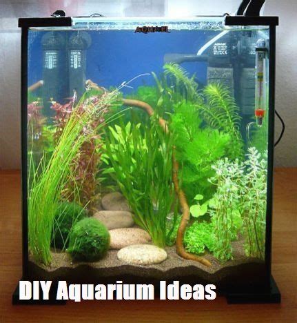 Top 10 DIY Aquarium Ideas For Your Next Aquarium Project Betta Aquarium ...