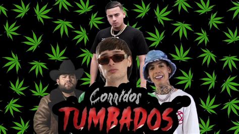 CORRIDOS TUMBADOS MIX 2023 Accords - Chordify