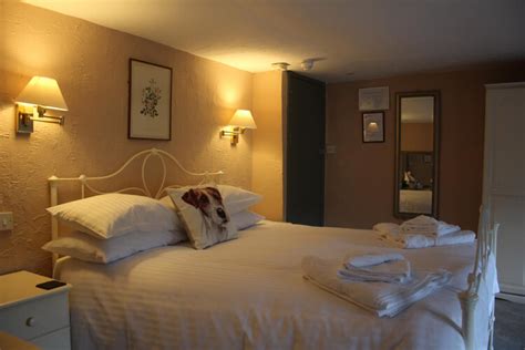 Blue Ball Inn - Inn Accommodation in Sidmouth