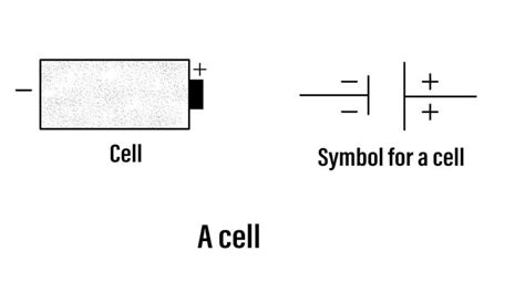 Explain the function of cell in a circuit?