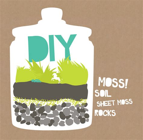 DIY Moss Terrarium