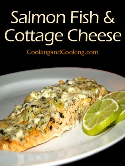 Salmon Fish with Cottage Cheese | Fish Recipe | Cooking and Cooking