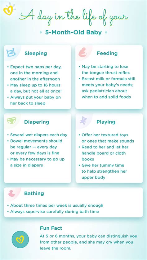 5-Month-Old Baby: Milestones, Sleep & Feeding Schedule | Pampers