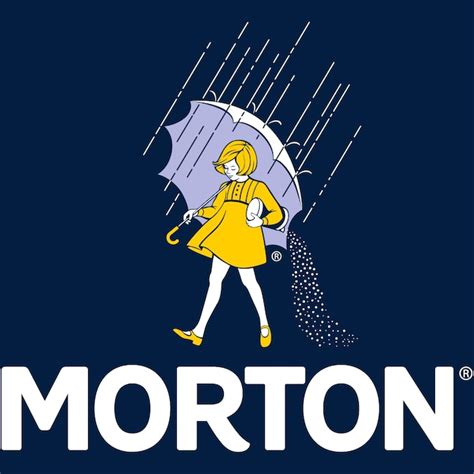 Morton 20-lb Water Softener Salt Block F125050000 at Lowes.com