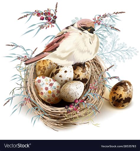 Easter background with realistic bird nest eggs Vector Image