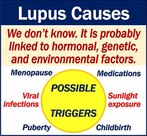 What is lupus? Symptoms, causes, diagnosis, and treatment - MBN Health