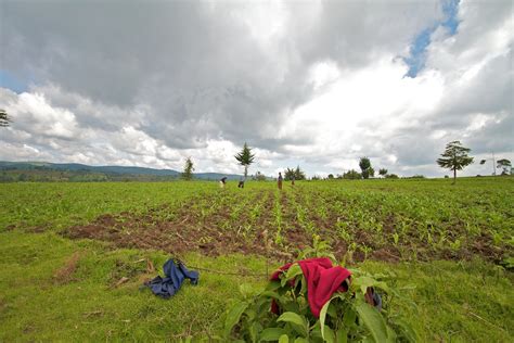 How “Talent Partnerships” Unlock Business Growth in Rural Kenya - Root ...