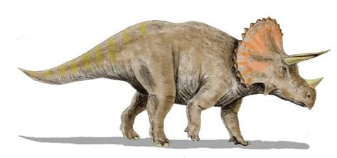 Herbivorous Dinosaurs: names, types, and characteristics - Greater ...