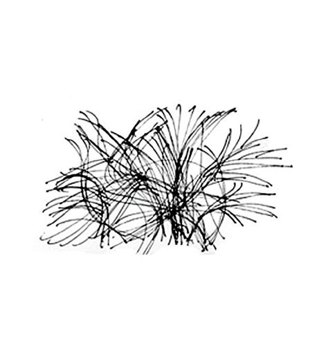 Tumbleweed Drawing at GetDrawings | Free download