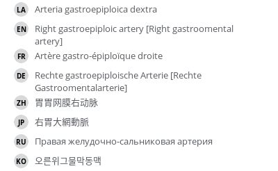 Right gastroepiploic artery [Right gastroomental artery] - vet-Anatomy ...