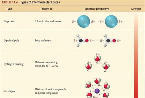 Image result for intermolecular forces | Bioquímica, Biotecnología, Biología