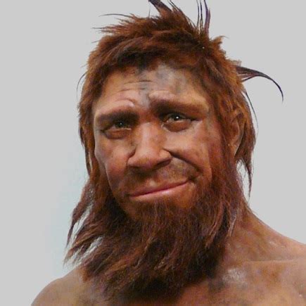 How much Neanderthal DNA is in modern humans? - DNA Testing Choice