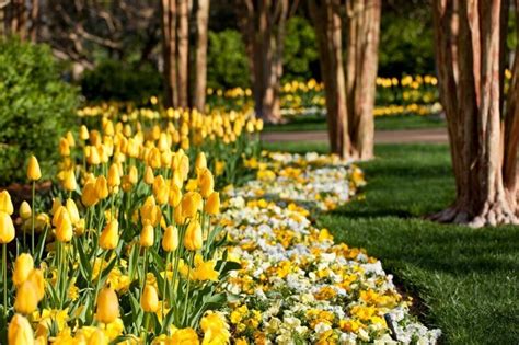 Cheekwood Botanical Garden and Museum of Art - StyleBlueprint