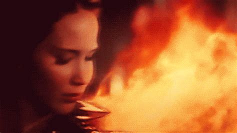 Katniss Everdeen's life: Before the 74th Hunger Games