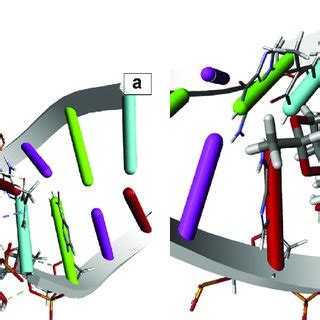 (a) 3D view of Daunorubicin-DNA complex in Topoisomerase II inhibition,... | Download Scientific ...