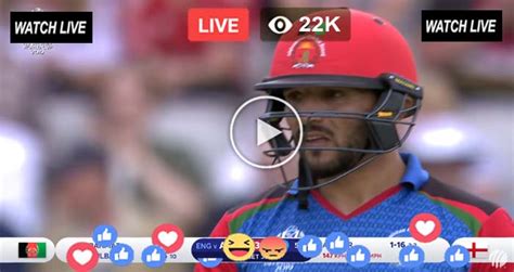 Live Cricket – ENG vs AFG Live Online Today – ICC Cricket World Cup 2023 Live Online – PTV ...