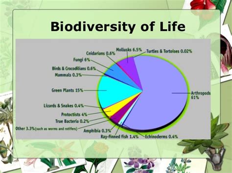 Plant biodiversity