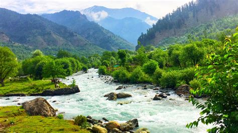 Pahalgam Tour Packages | Book Pahalgam Holiday Packages at Best Prices