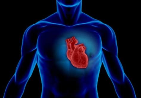 Heart Failure Improvements with Diet, Exercise - Science news - Tasnim News Agency