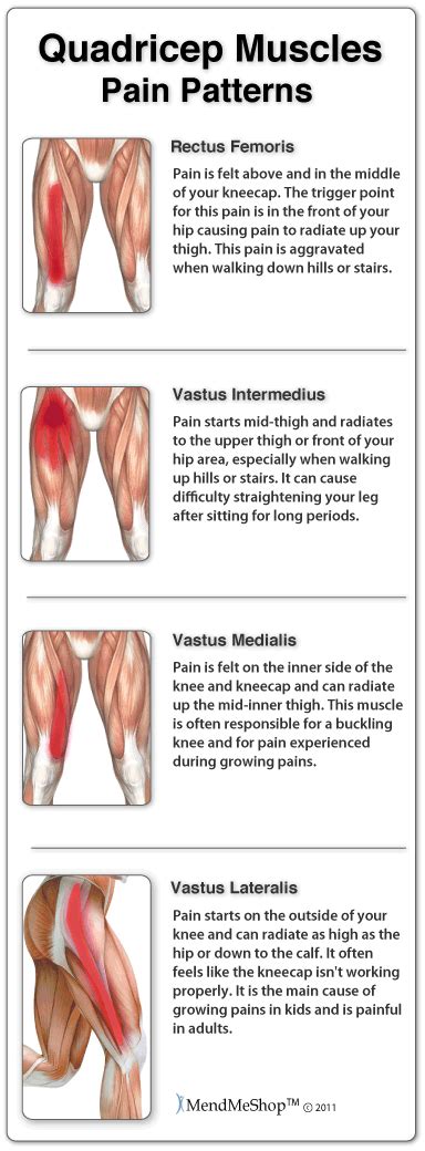 Thigh muscle pain symptoms can be mild to extreme based on the level of your injury. A sharp ...