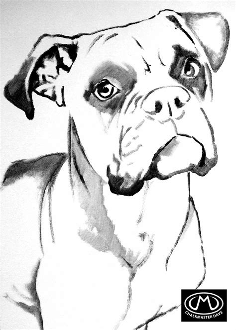 25+ Boxer Dog Coloring Picture - Bleumoonproductions