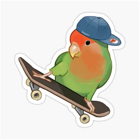 "Skater Birb" Sticker for Sale by beeper-art | Redbubble