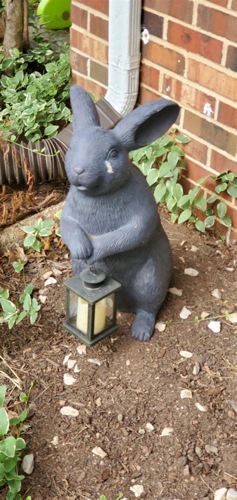 Bird poop on this rabbit garden statue looks like a tear drop. : r/mildlyinteresting