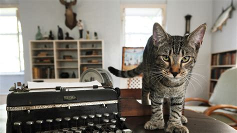 The Feds Can Tell Ernest Hemingway's Cats What To Do; Here's Why : The Two-Way : NPR