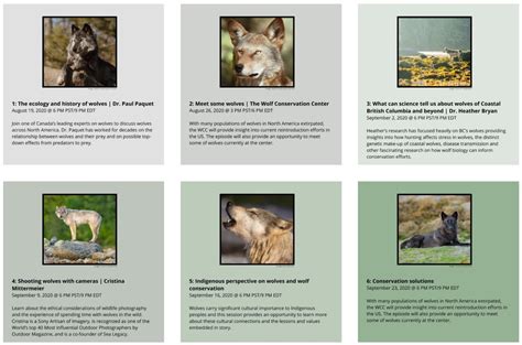 Wolf School Resumes with Raincoast Conservation Foundation and Wolf Conservation Center | Wolf ...