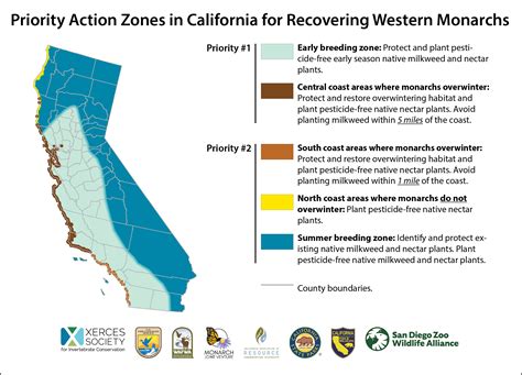 Western monarch call to action | Xerces Society