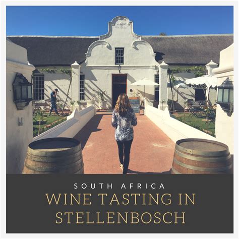 A Day of Wine Tasting in Stellenbosch - The Wanderlust Effect