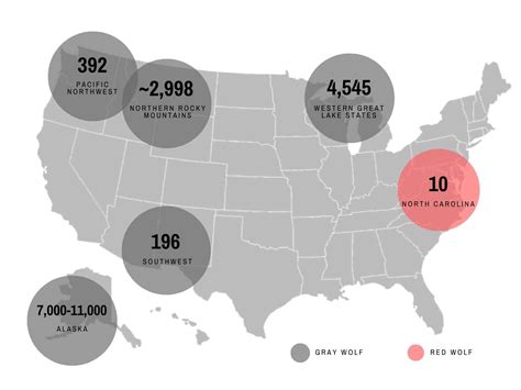 Us Wolf Population August 2022 | Wolf Conservation Center