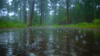 Rainy Gifs