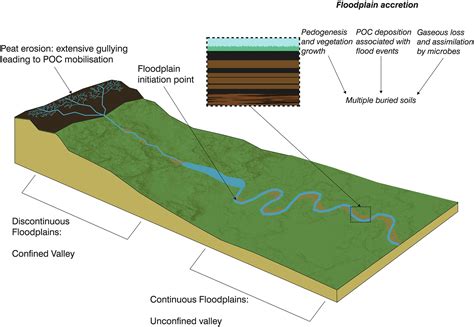 Geomorphological controls on fluvial carbon storage in headwater peatlands - Alderson - 2019 ...