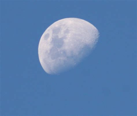 Daytime moon Free Photo Download | FreeImages