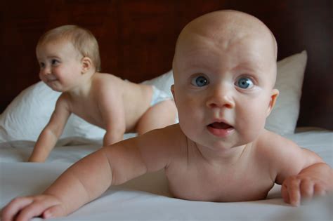 Free Images : babies, infant, boy, adorable, caucasian, son, newborn, baby 3008x2000 - - 1371909 ...