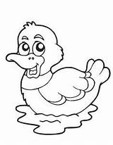 31 Duck Coloring Pages Ideas  coloring Pictures sketch template