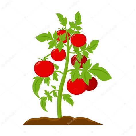 Tomato icon cartoon. Single plant icon from the big farm, garden ...