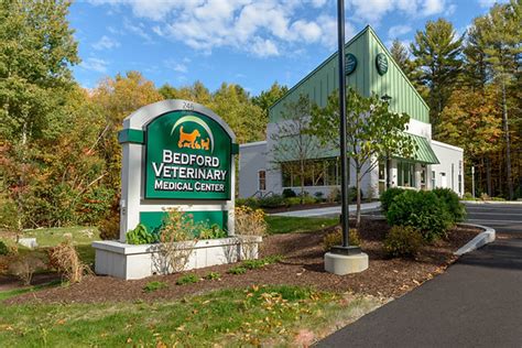 bedford animal hospital bedford new hampshire - Provide A Good Blogger Bildergalerie