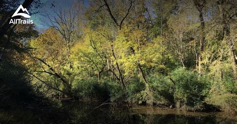 Best Trails in Bear Creek Trail System - North Carolina | AllTrails