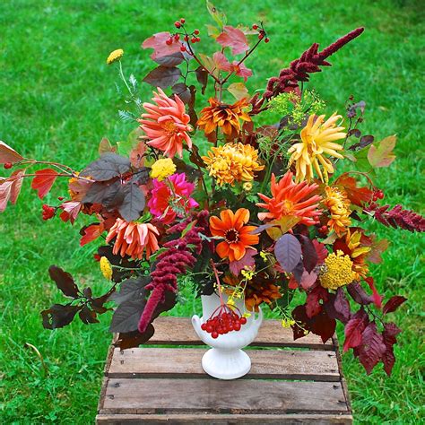 Mid-November arrangement of dahlias, amaranthus and guilder rose by ...