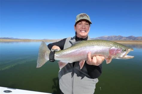 Crowley Lake Fish Report - Mammoth Lakes, CA (Mono County)