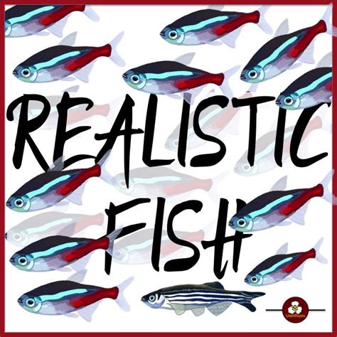 Realistic Fish Clip Art Illustrations | Illustration art, Clip art, Illustration