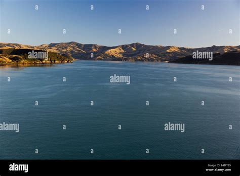 Entering Akaroa Harbour Stock Photo - Alamy