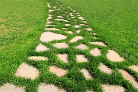 Chemin En Pierre Dans La Texture De Jardin D'herbe Verte Image stock - Image du concept, voie ...