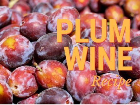 Simple & Easy Plum Wine Recipe