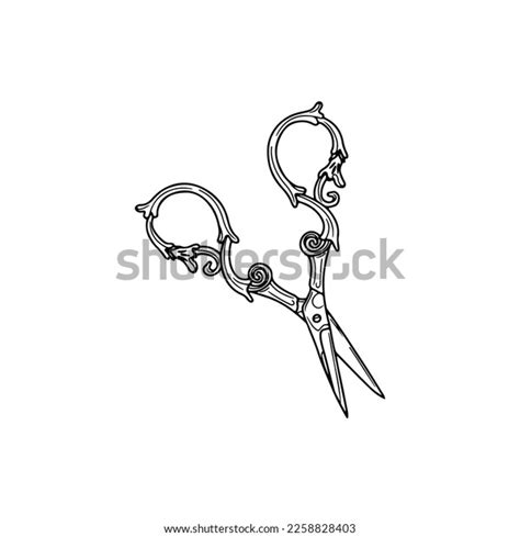 Vector Illustration Vintage Scissors Stock Vector (Royalty Free ...