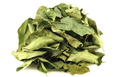 Dried Curry Leaves Natural Aromatic Organicially Grown (Sri Lankan) 25g-950g | eBay