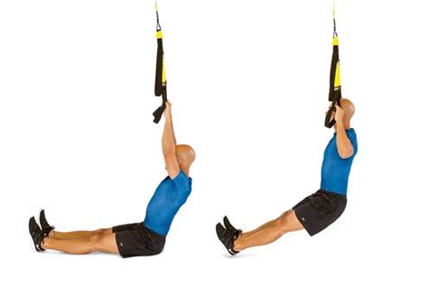 8 exercises with TRX to strengthen your back in a simple way | TipTar